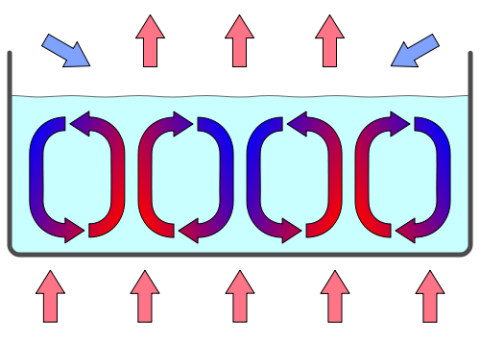 Diagram illustrating convection cells with arrows showing fluid circulation, where warm fluid rises and cool fluid sinks