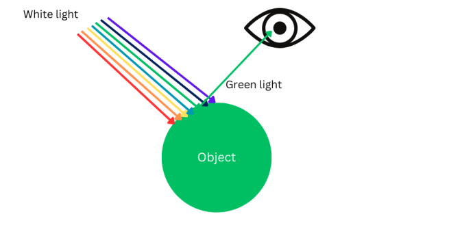 From the top left of the image, arrows colored red, orange, yellow, blue, green, indigo, and violet are collectively labelled as "White light". The arrows traveling downwards and hit the surface of a green circle in the centre of the image at the bottom. The circle is labelled "Object". Another green arrows mirrors from the first one and travels upwards, labelled as "Green light". It then reaches a graphic of an eye towards the top right of the image.