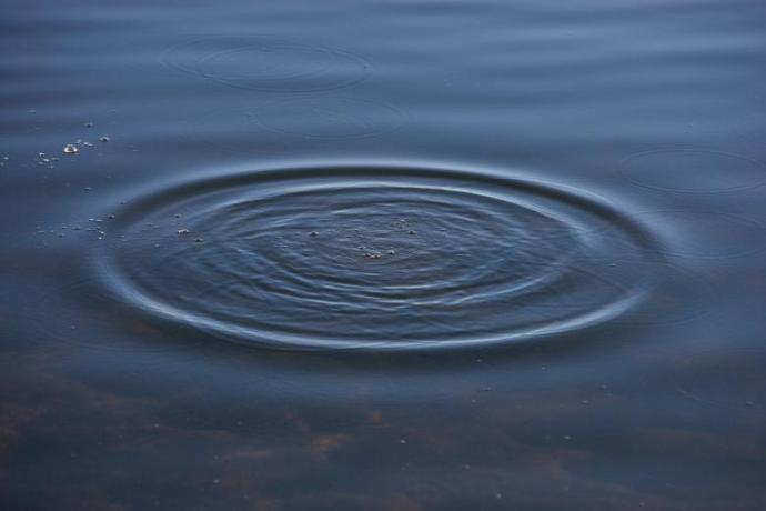 Ripples on the surface of still water, caused by an object or disturbance, spreading out in concentric circles